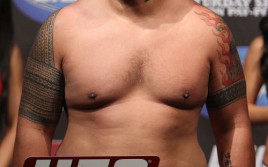 Результаты UFC Fight Night 52: Рой Нельсон — Марк Хант