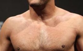 «Дэн Хендерсон — Гегард Мусаси» 24 января на турнире UFC on Fox 14
