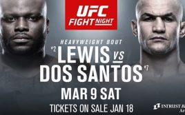 Результаты турнира UFC Fight Night 146: Дос Сантос — Льюис