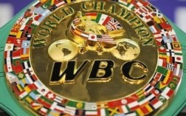 Стиверн и Арреола разыграют титул WBC