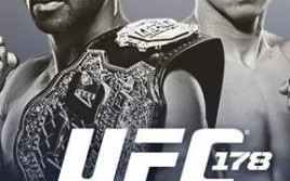 Результаты турнира UFC 178