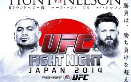(Превью) UFC Fight Night 52: Марк Хант — Рой Нельсон