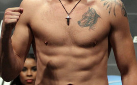 «Александр Густафссон — Энтони Джонсон» 24 января на турнире UFC on Fox 14