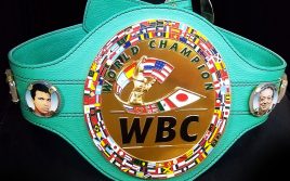 WBC исключит из рейтингов порядка 20-ти бойцов?