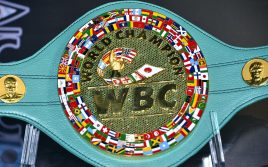 WBC: Отец бойца не может быть главным тренером