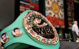 Всемирный боксерский совет (WBC) планирует создать новую весовую категорию