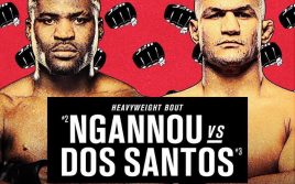 Анонсированы крупные бои на UFC 239