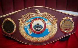 Президент WBO раскритиковал политику WBA