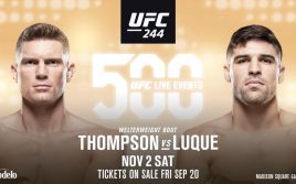 Стивен Томпсон — Висенте Луке, факты перед UFC 244