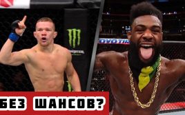 Бой Петр Ян — Алджамейн Стерлинг. Полный разбор UFC 259