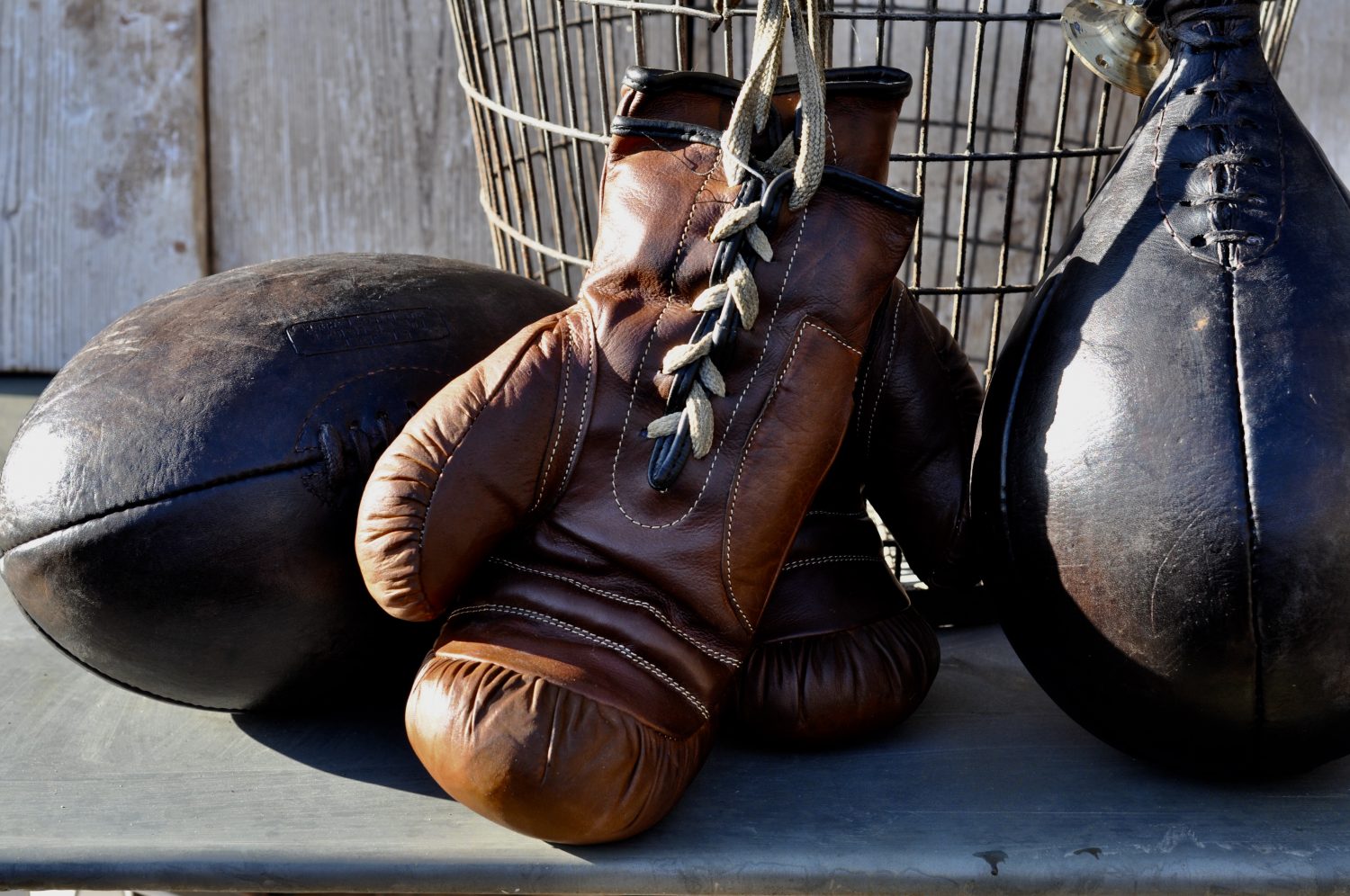 Old School Boxing перчатки