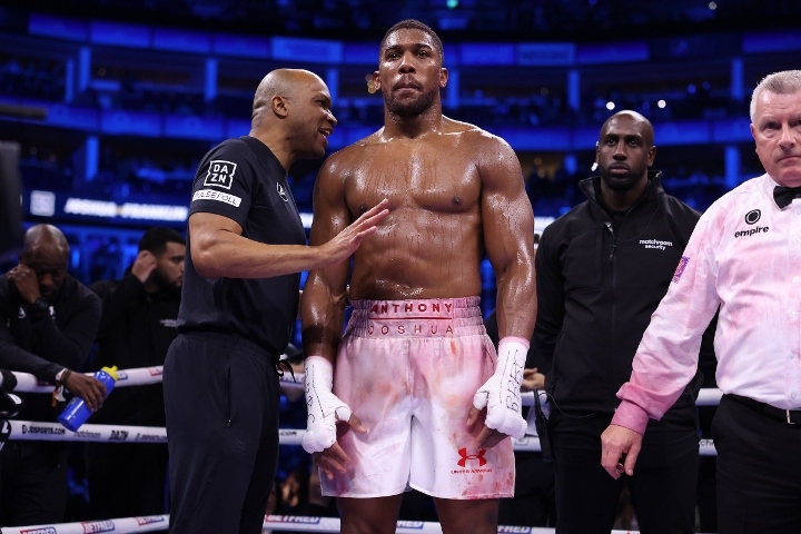 Большие боксеры Anthony Joshua